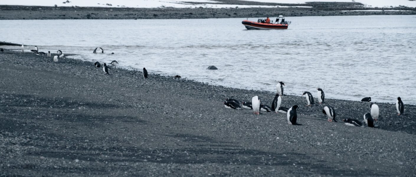 Investigación podría cambiar la comprensión de la función de la Antártica en el sistema climático global