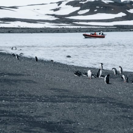Investigación podría cambiar la comprensión de la función de la Antártica en el sistema climático global