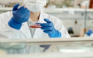 Divulgación científica. Anid Fondecyt Chile Beca