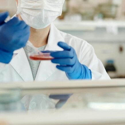 Divulgación científica. Anid Fondecyt Chile Beca