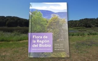 Libro Flora de la Region del Biobio UdeC