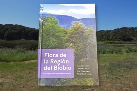 Libro Flora de la Region del Biobio UdeC