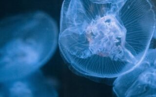 Contexto | Pexels (CC)