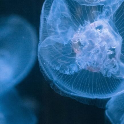 Contexto | Pexels (CC)